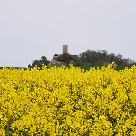 Im Herzen Des Kraichgaus 2 *