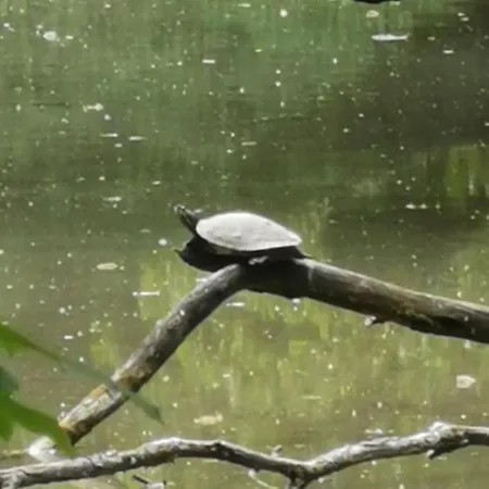 Im Herzen Des Kraichgaus 2 Σπίτι διακοπών Ostringen