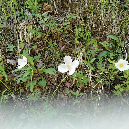 Im Herzen Des Kraichgaus 2 Σπίτι διακοπών *