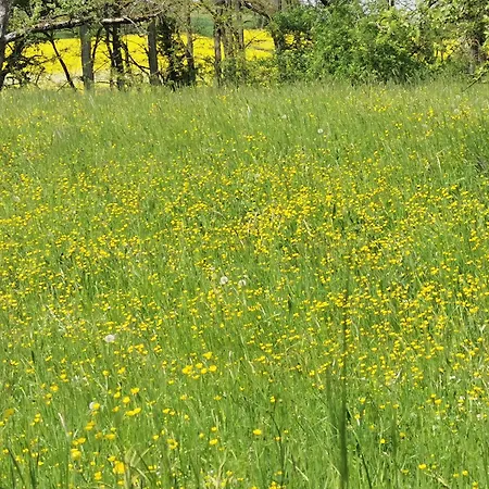 Im Herzen Des Kraichgaus 2 * Ostringen