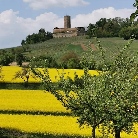 Σπίτι διακοπών Im Herzen Des Kraichgaus 2 *