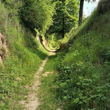 Σπίτι διακοπών Im Herzen Des Kraichgaus 2 Ostringen