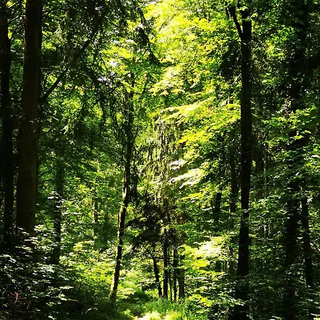 Σπίτι διακοπών Im Herzen Des Kraichgaus 2