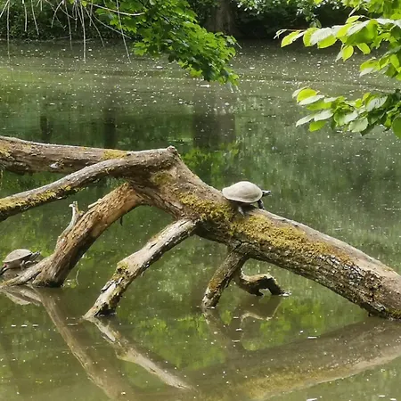 Σπίτι διακοπών Im Herzen Des Kraichgaus 2