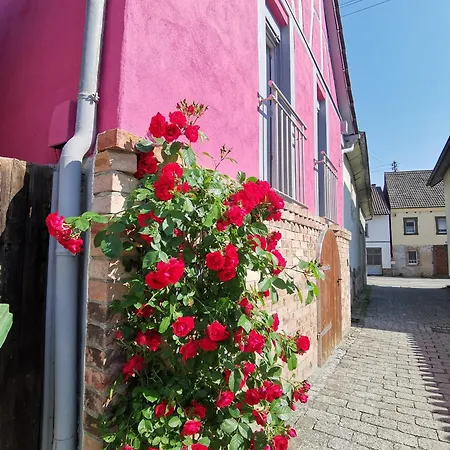 Im Herzen Des Kraichgaus 2 Ostringen